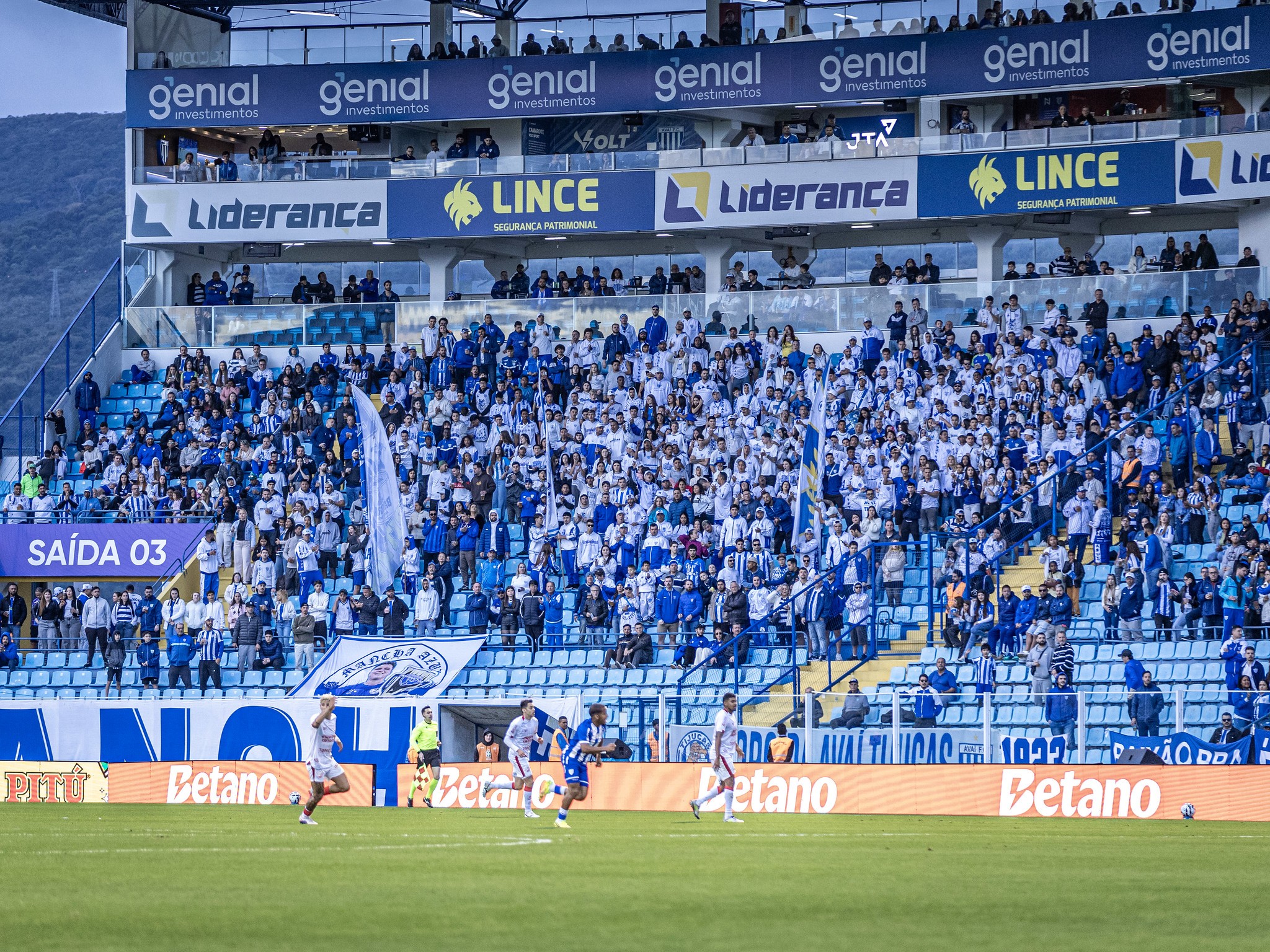 Avaí faz campanha com torcedores para arrecadar R$ 500 mil até o fim da Série B