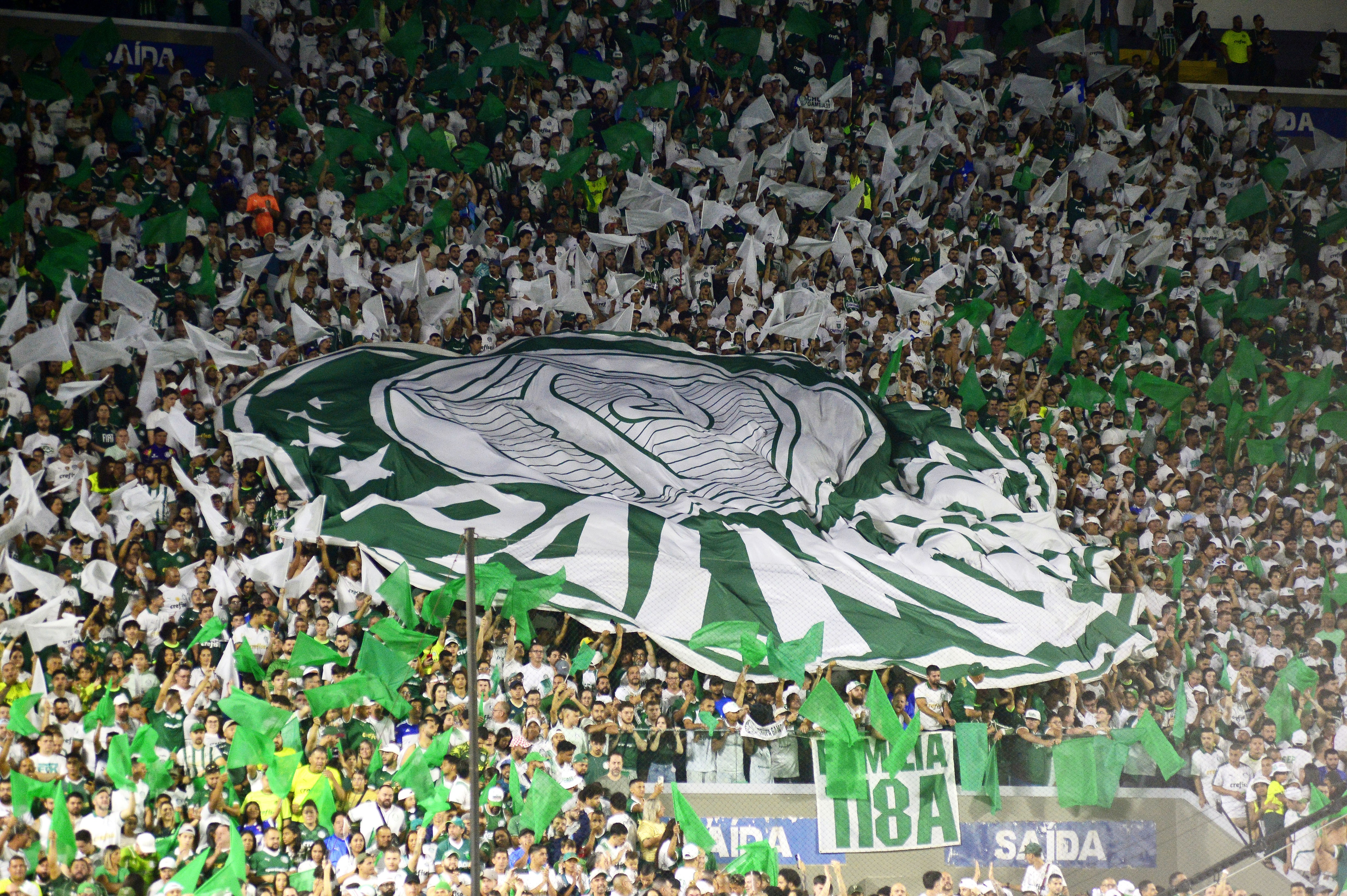 Palpites e dicas para Palmeiras x Bragantino pelo Brasileirão